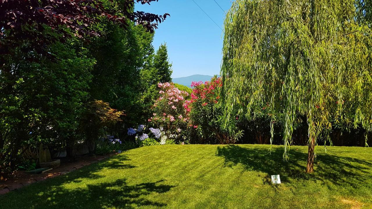 Asso Bed & Breakfast Manerba del Garda Eksteriør bilde
